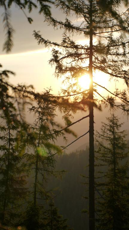 Naturhotel Ortners Eschenhof Bad Kleinkirchheim Eksteriør billede